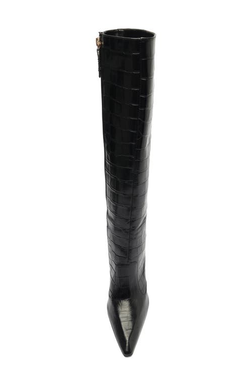 Shop Schutz Ciara Pointed Toe Knee High Boot