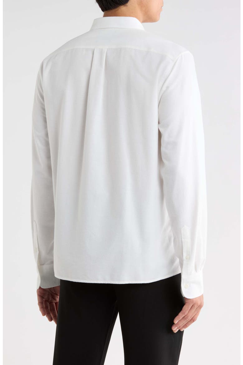 Oxford Long Sleeve Button Down Shirt, Alternate, color, OFF WHITE