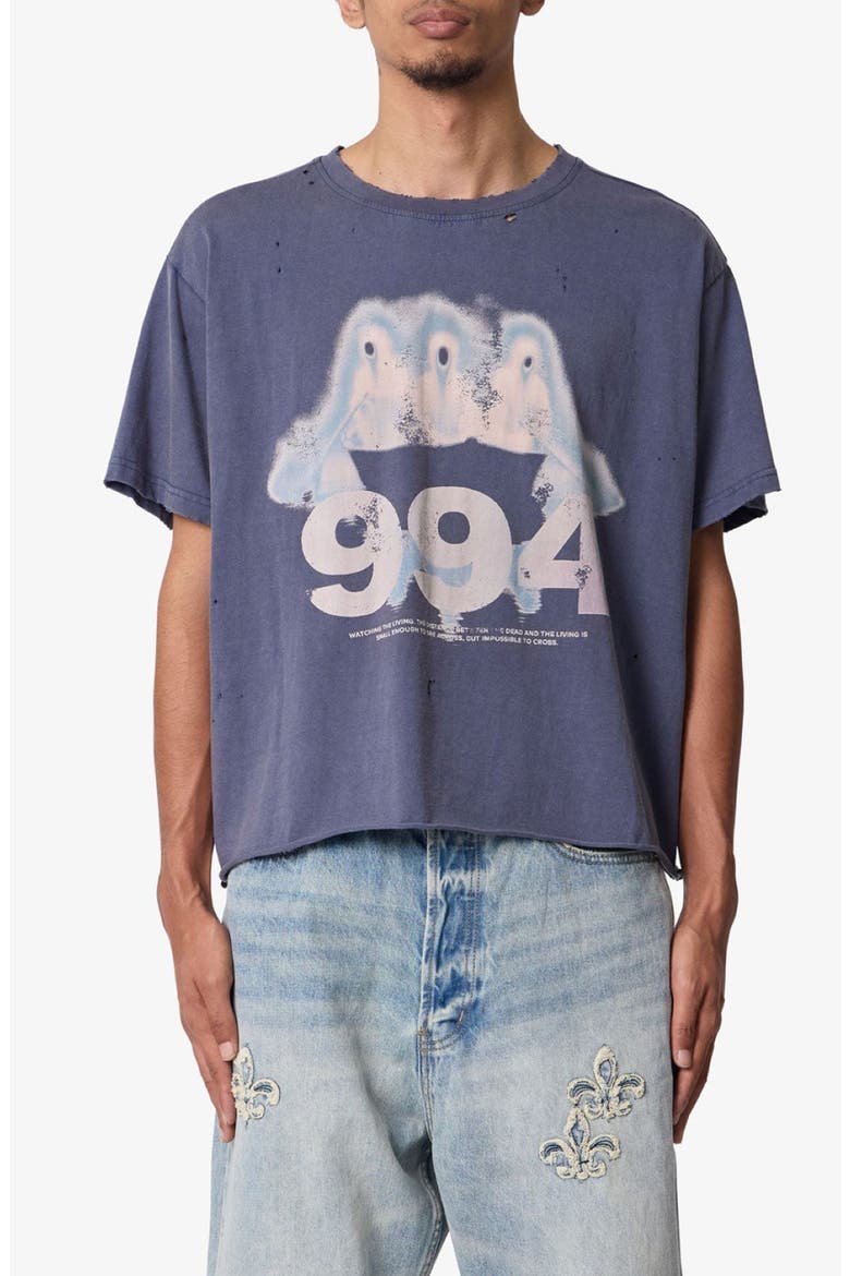 The Row Graphic T-Shirt, Main, color, WASHED BLACK