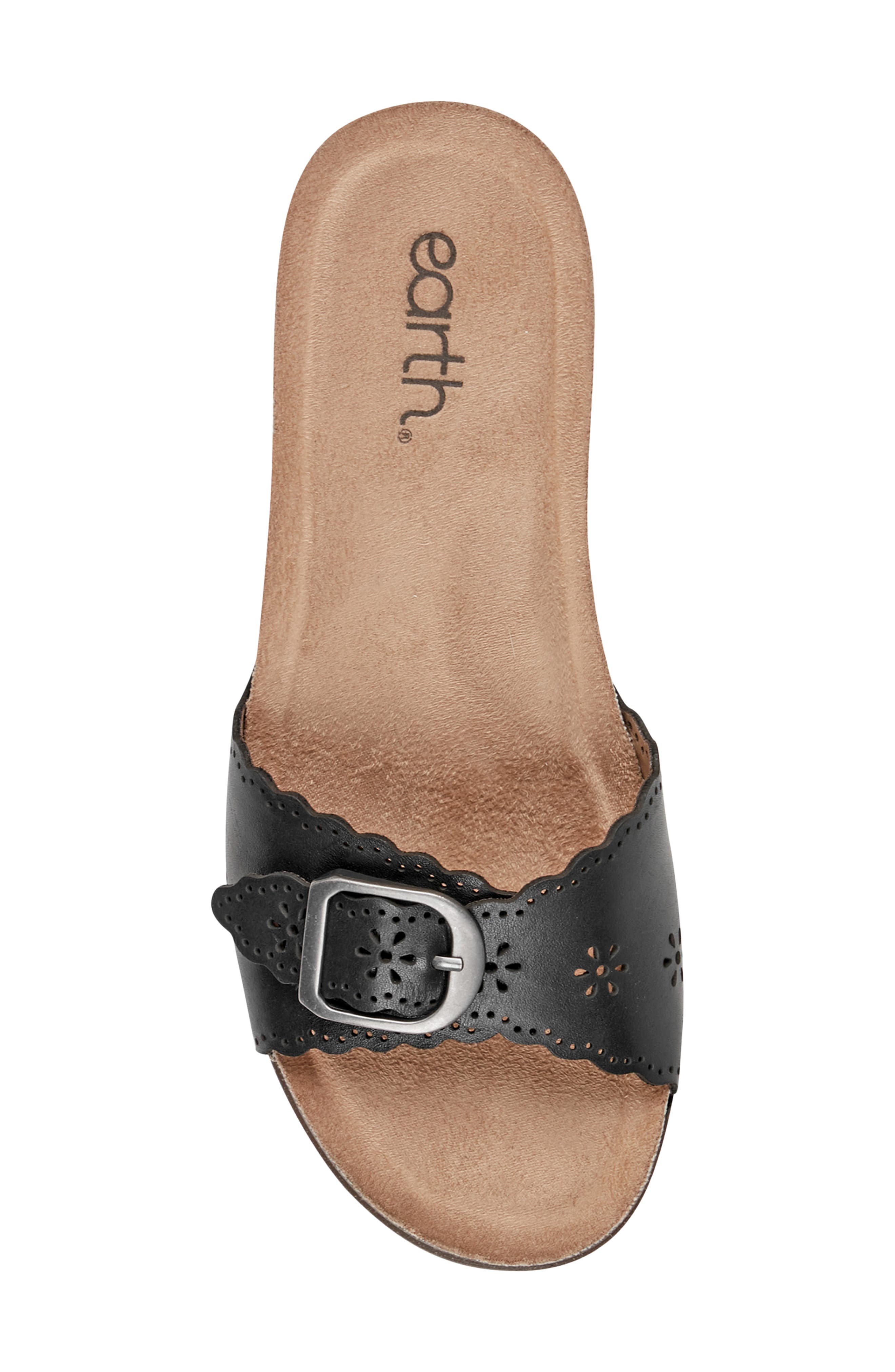 Earth<sup>®</sup> HAISLY Slide Sandal, Alternate, color, Black