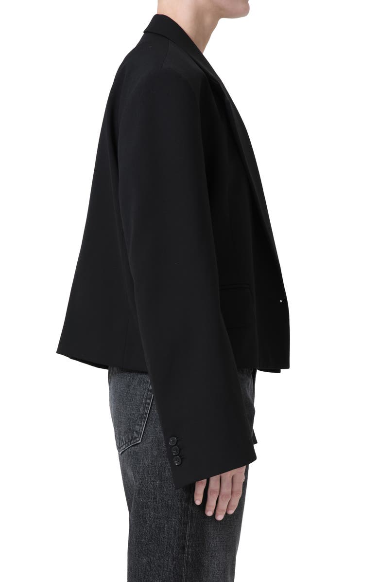 AGOLDE Callie Crop Blazer, Alternate, color, Black