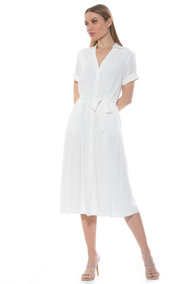 Liv Collared Shirtdress, Alternate, color, IVORY