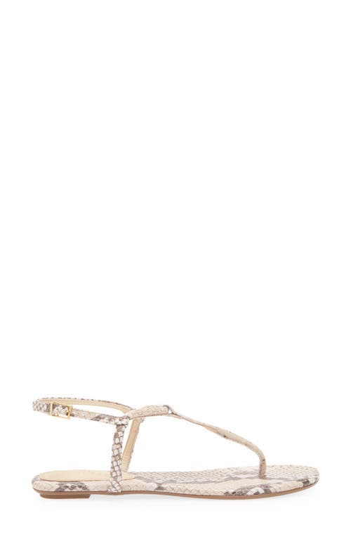 Shop Schutz Elsha Slingback Sandal In Beige Latte