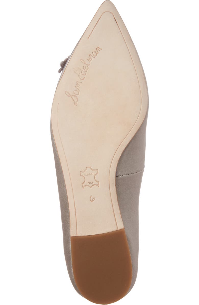 Sam Edelman Rafaella Pointy Toe Ballet Flat, Alternate, color,