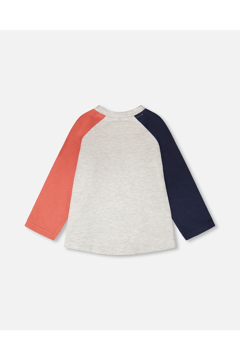 Jersey Pelican Graphic Long Sleeve T-Shirt, Alternate, color, Light Grey Mix
