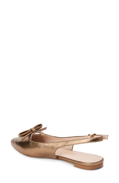 Jack Rogers Lennox Slingback Pointed Toe Flat In Brown