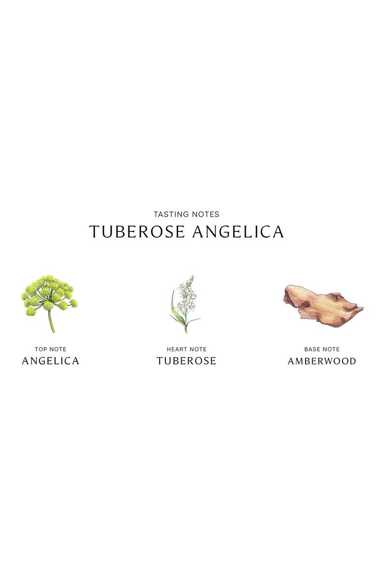 Tuberose Angelica Cologne Intense, Alternate, color, NO COLOR