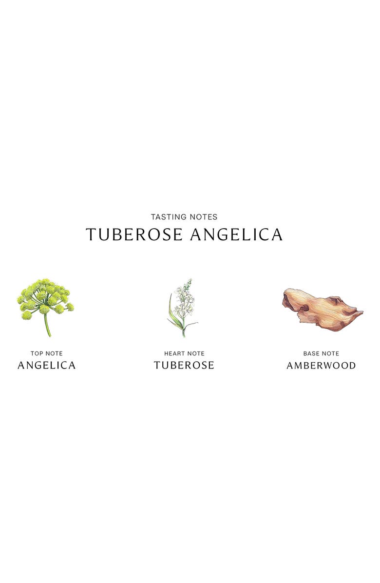 Jo Malone London<sup>™</sup> Tuberose Angelica Cologne Intense, Alternate, color,