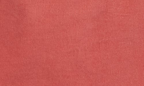 Massimo Alba Baby Corduroy Jacket In Coral