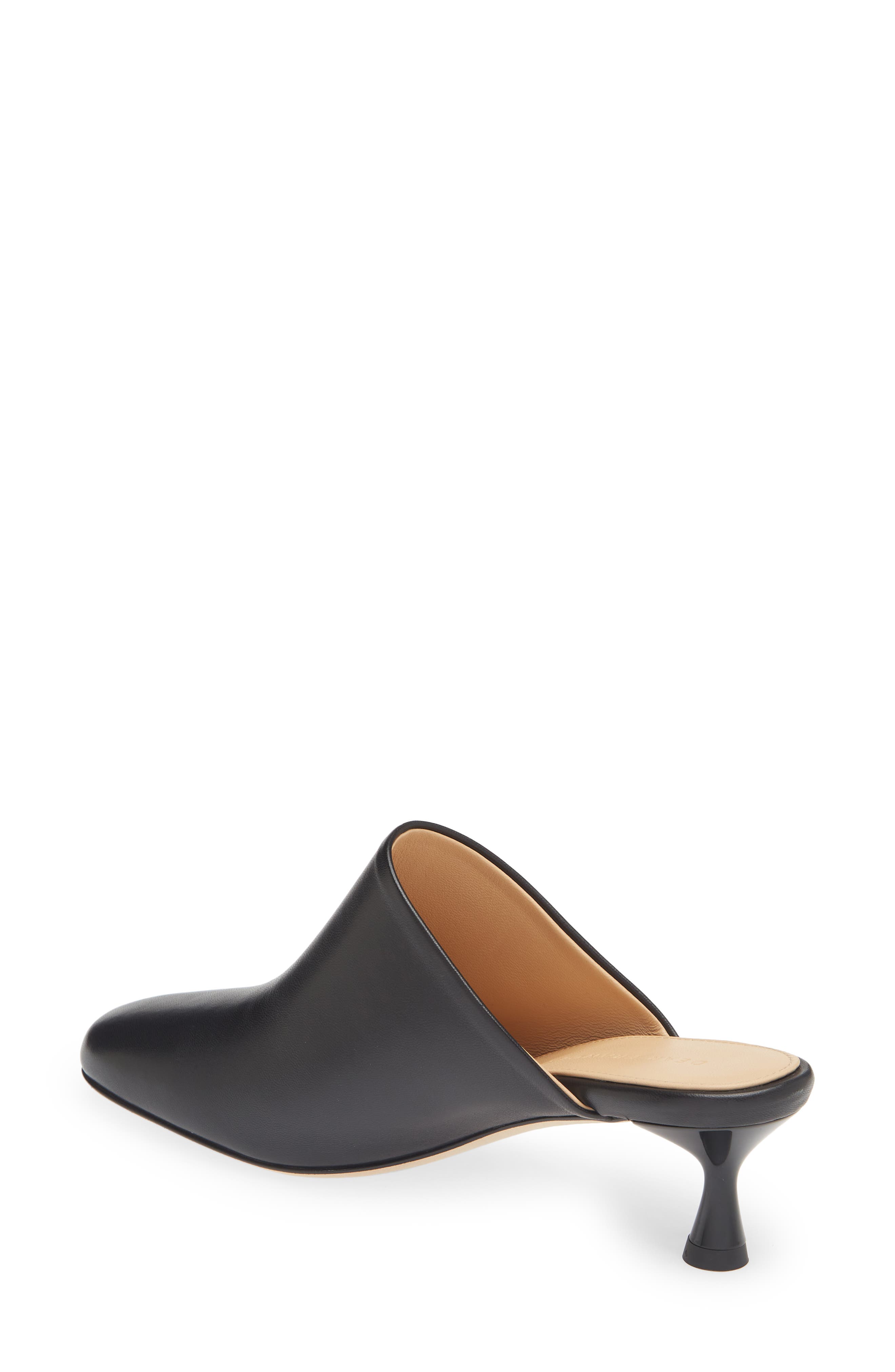 Dear Frances Flo Mule, Alternate, color, 