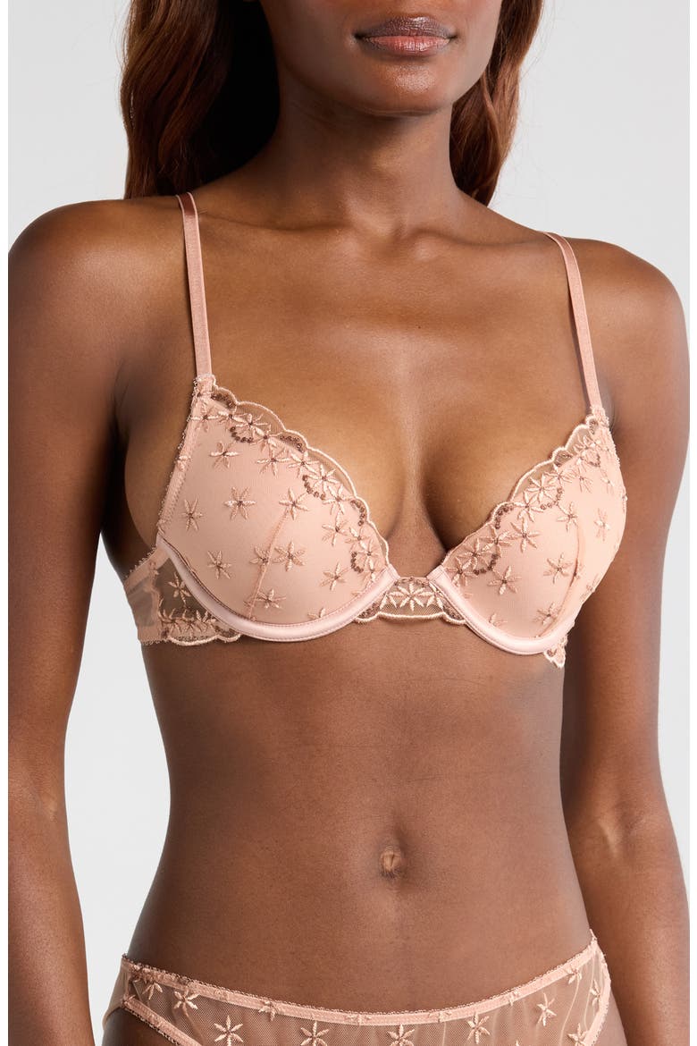 The Plunge Push-Up Bra, Main, color, BLUSH