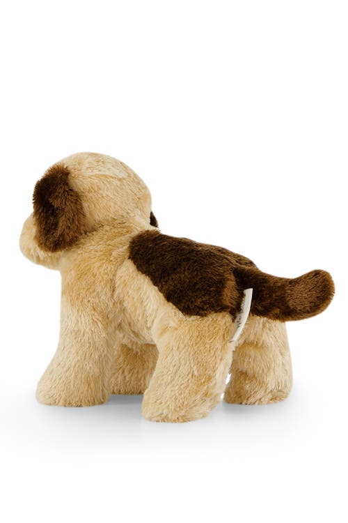 Snuggle Bunnies Stuffed Animal Coco The Shih Tzu In Sand