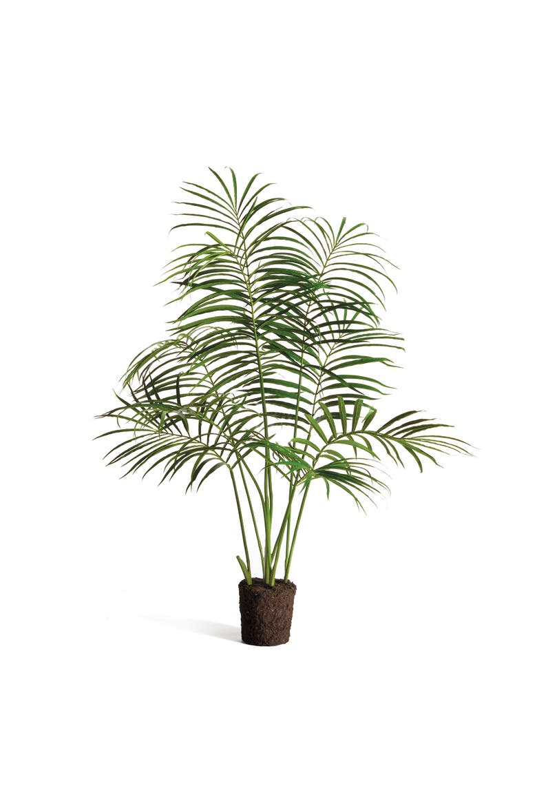 Palm Tree Drop-In 50", Main, color, Green