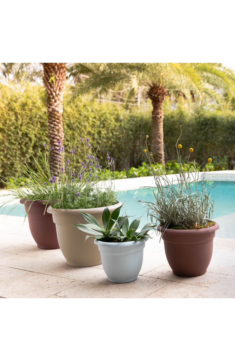 Bloem Dice pack (KS)-FR/EN, Alternate, color, Beige