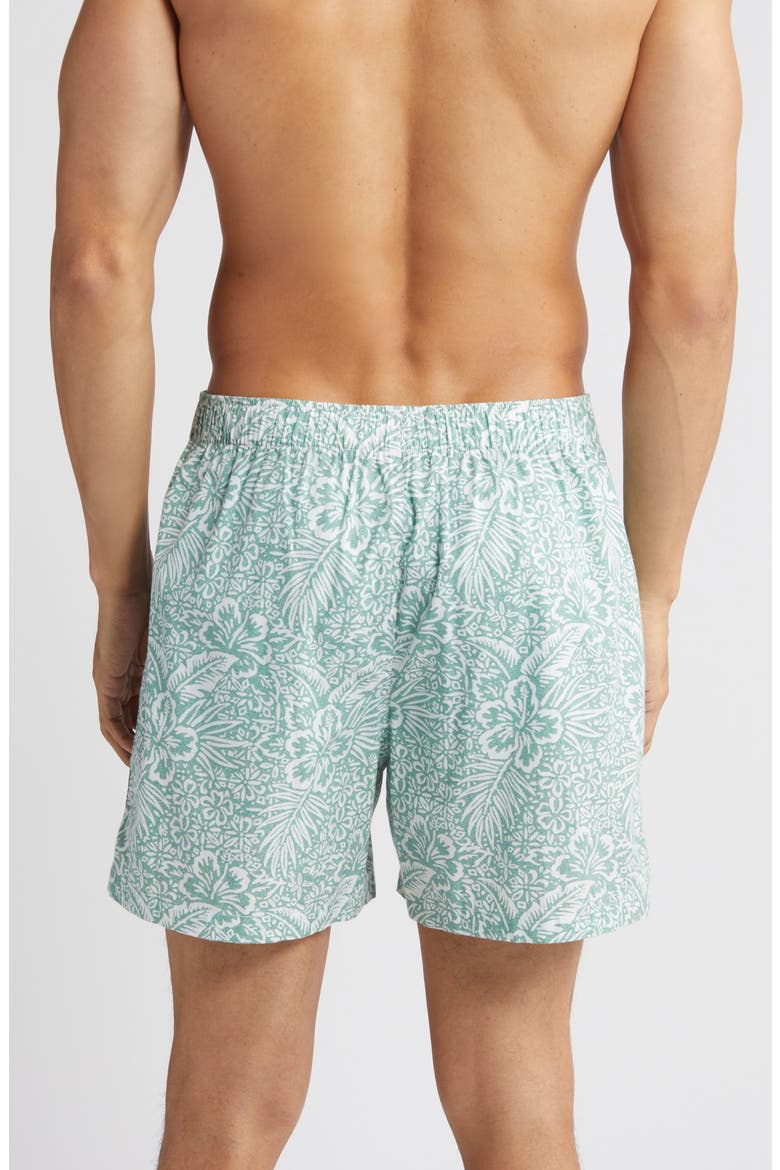 Cotton Pajama Boxers, Alternate, color, MINT PRINT