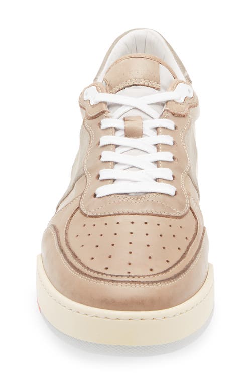 Collegium Pillar Destroyer Ii Sneaker In Brown