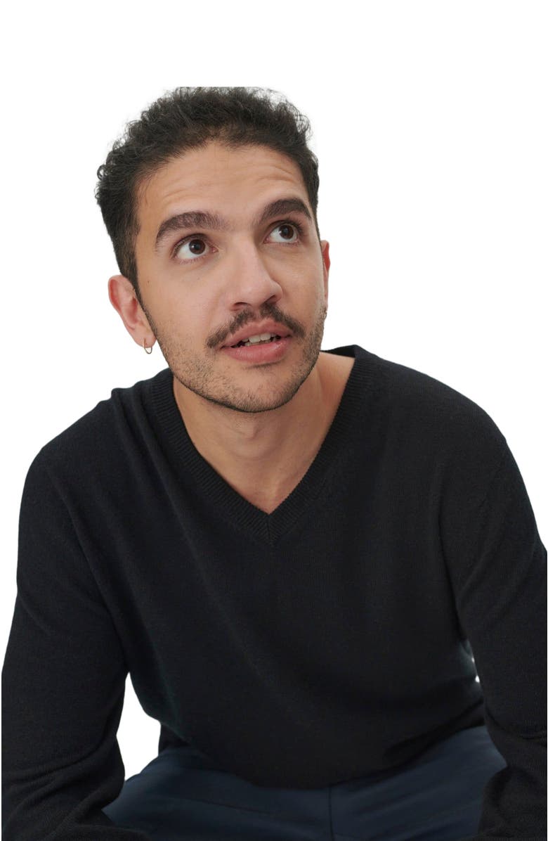 GOBI Mongolian Cashmere Essential V-Neck Cashmere Sweater, Alternate, color, Black