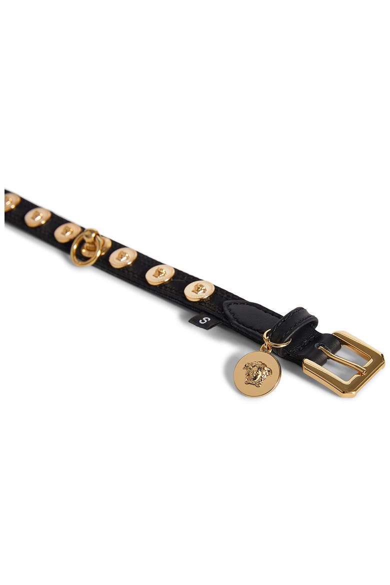 Barocco Dog Collar & Leash Set, Alternate, color, BLACK
