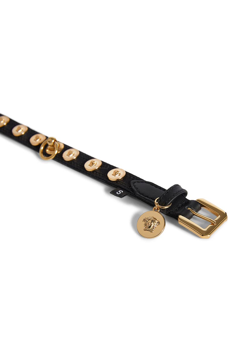 Versace Barocco Dog Collar & Leash Set, Alternate, color, 