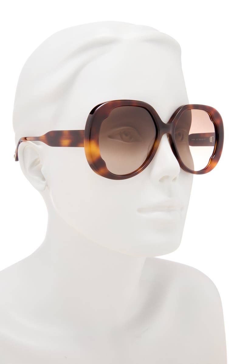 Chloé 56mm Round Sunglasses, Alternate, color, Havana Havana Brown