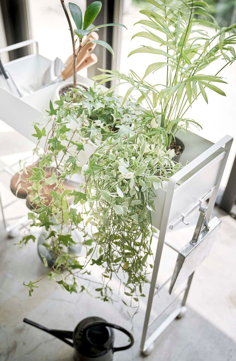 Yamazaki Rolling Entryway Storage Shelf, Alternate, color, White