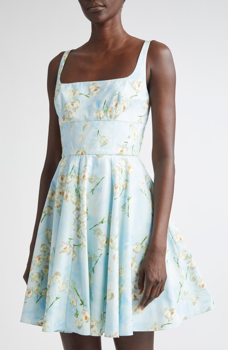Emilia Wickstead Mona Floral Cotton Sundress, Alternate, color, Little Lillies On Blue