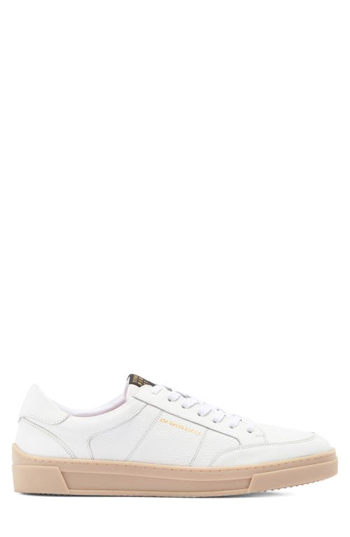 Shop Steve Madden Nyan Leather Sneaker In White/white