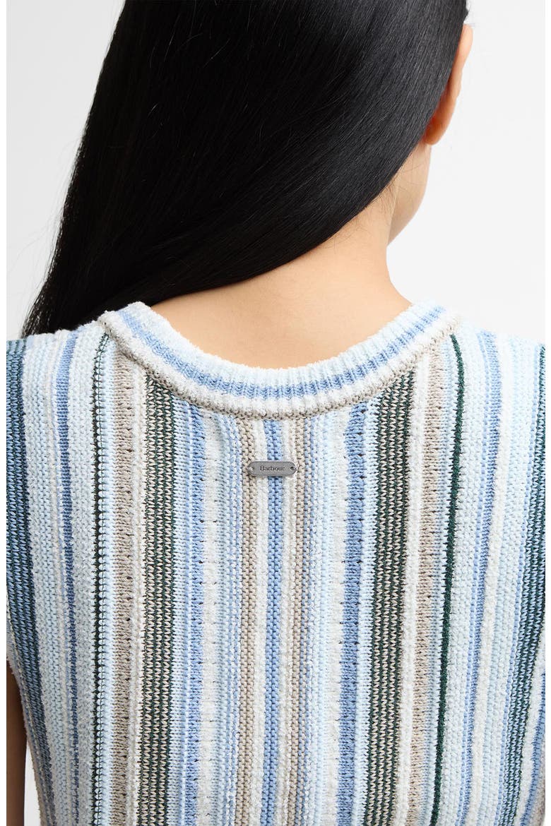 Josie Stripe Knit Cotton Blend Tank, Alternate, color, WHITE/ BLUE MULTI