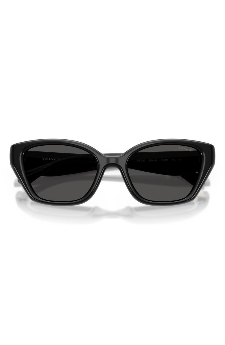 COACH 53mm Irregular Sunglasses, Alternate, color, Black / Grey Solid