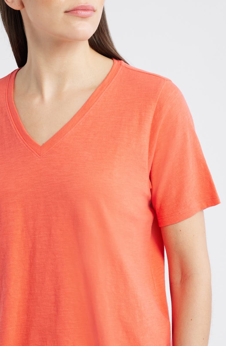 Eileen Fisher Easy V-Neck Organic Cotton T-Shirt, Alternate, color, Watermelon