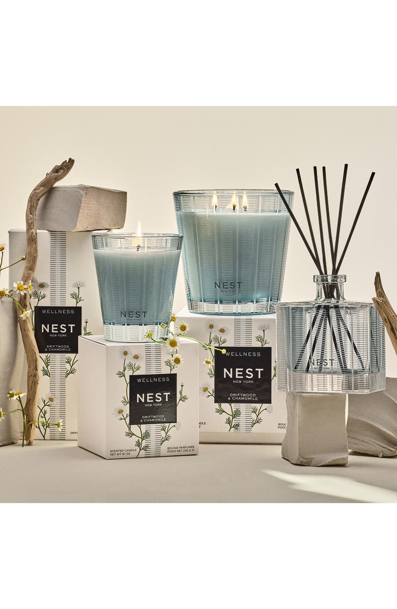 NEST New York Driftwood & Chamomile Reed Diffuser, Alternate, color, 