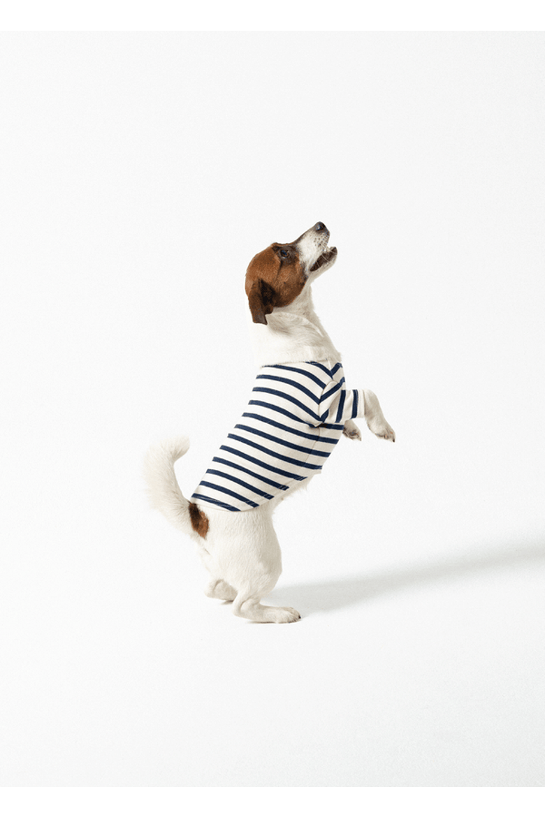 PARISIAN PUP - Authentic Breton Shirt for Dog, Alternate, color, ecru/navy