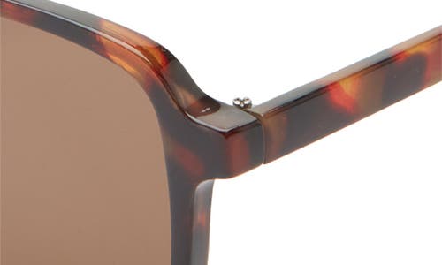 Bp. Aviator Sunglasses In Brown Tortoise