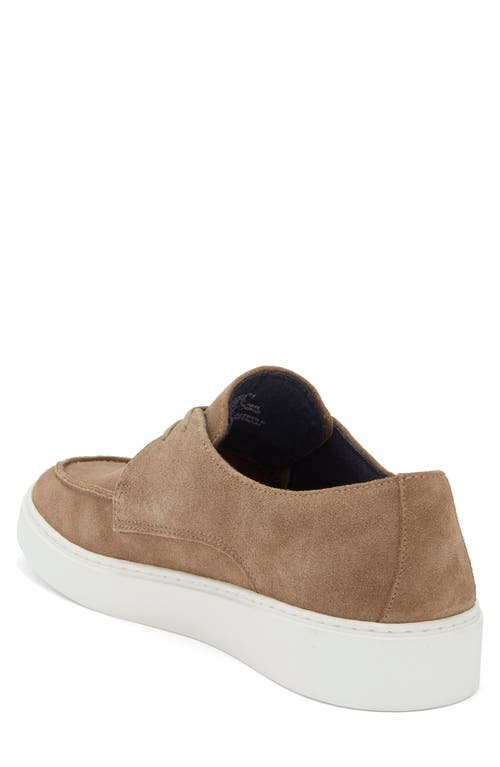 Steve Madden Frankk Chukka Shoe