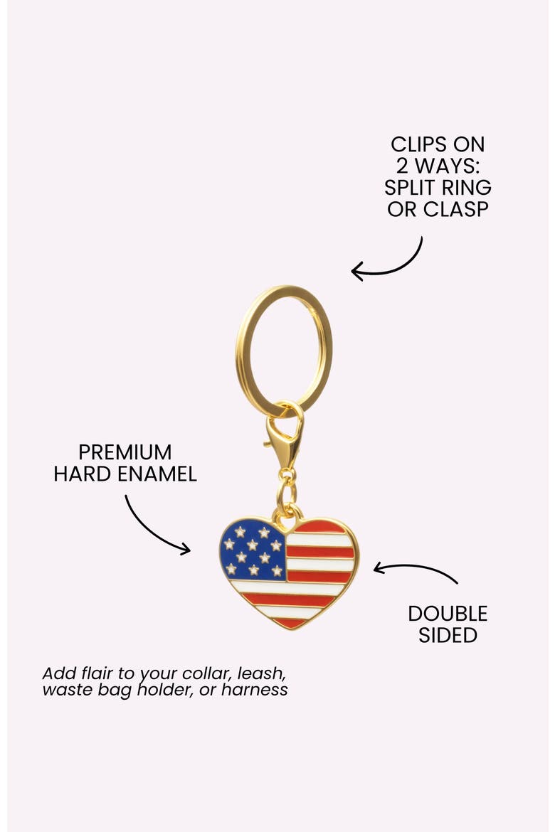 American Heart Pet Collar Charm, Alternate, color, American Heart