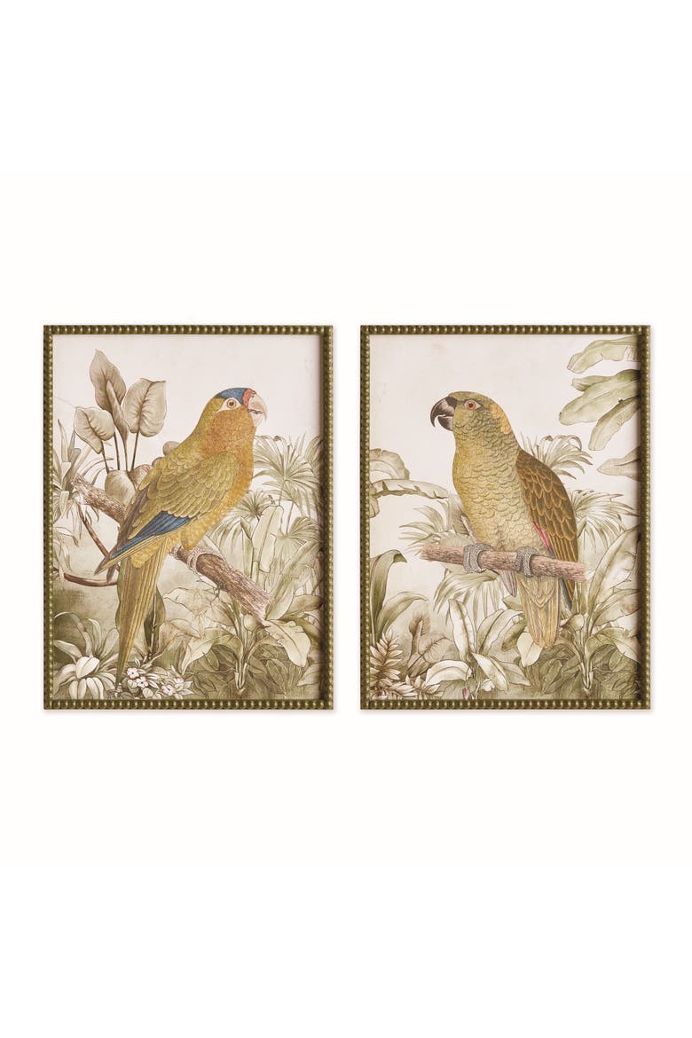 Tropical Parrot Prints, Set of 2 - Brown/Green - Fir Wood, Main, color, Green