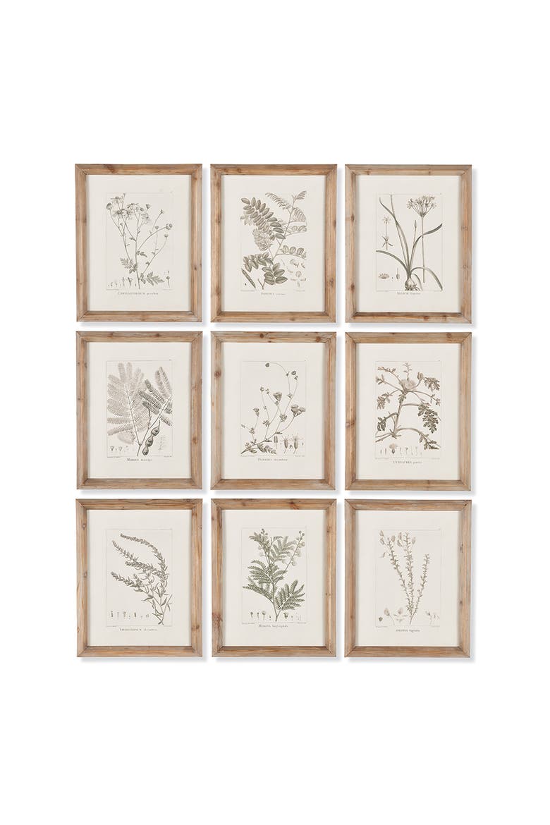 Botanical Illustrations Set of 9, Main, color, Gray