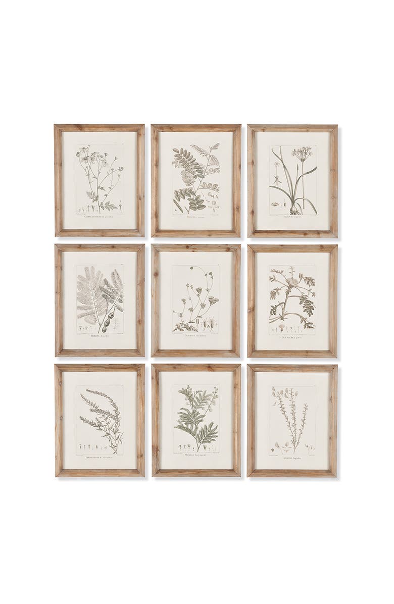 Napa Home & Garden Botanical Illustrations Set of 9, Main, color, Grey