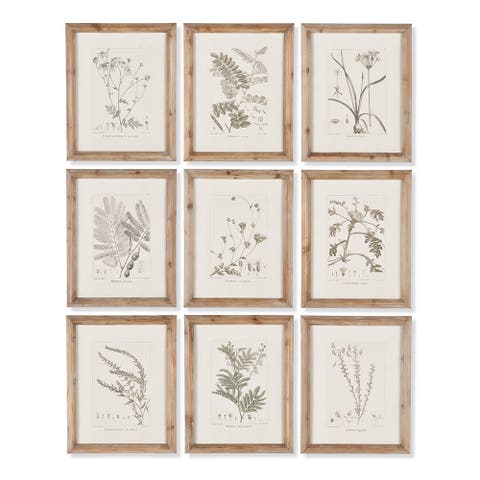 Botanical Illustrations Set of 9