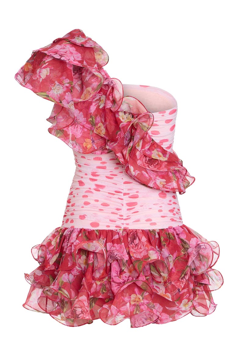 Peony Dots Ruffle Mini Dress, Alternate, color, RED