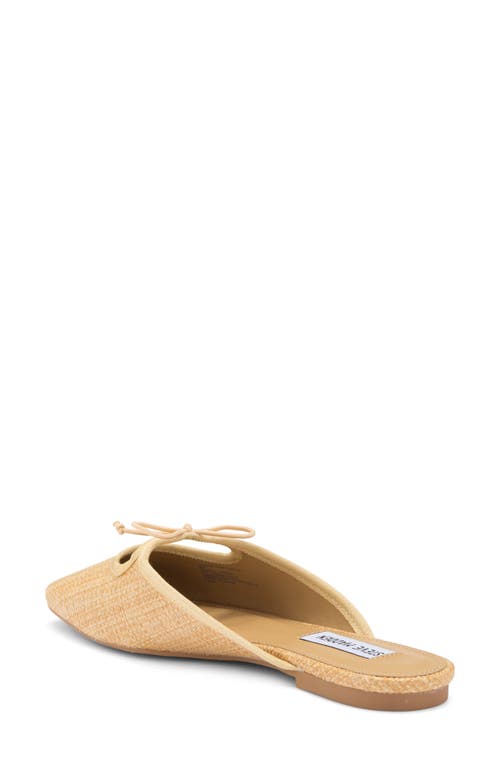STEVE MADDEN STEVE MADDEN MARCELA BOW MULE 