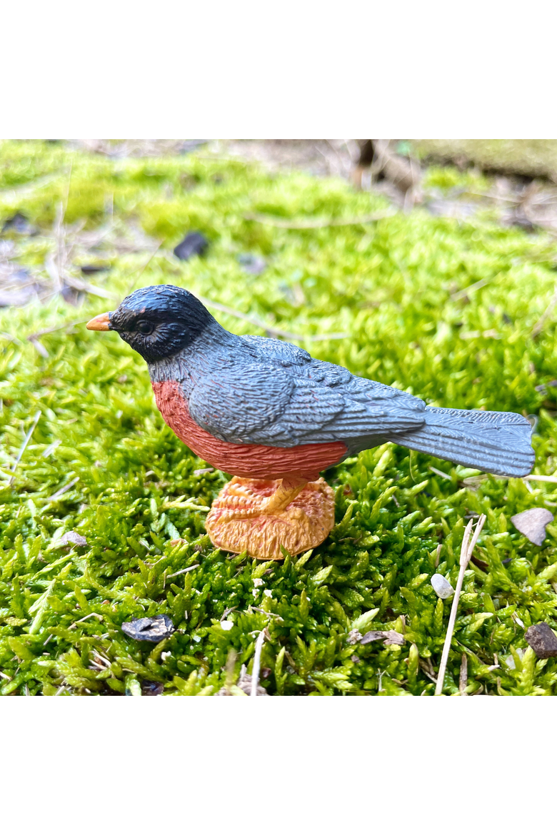 Backyard Birds Toy, Alternate, color, No Color