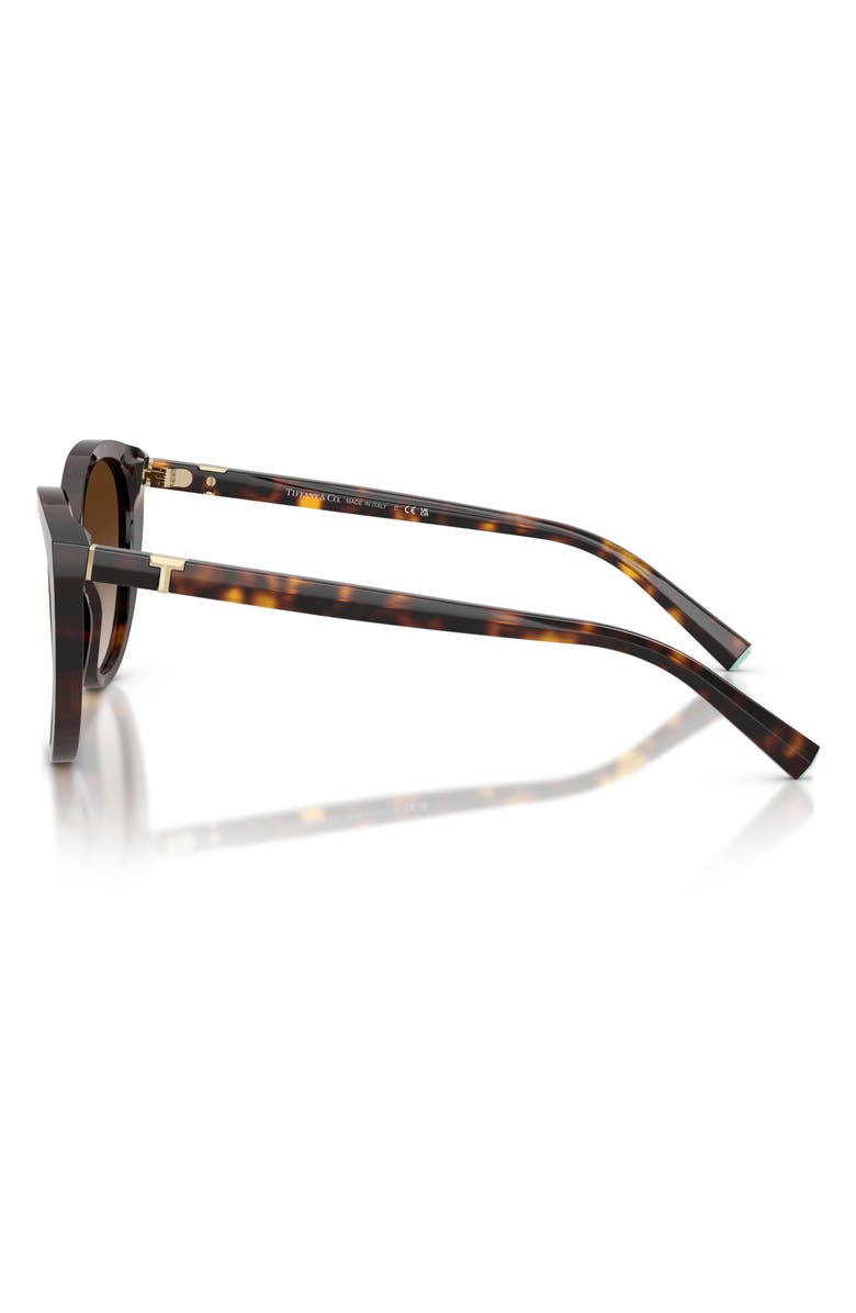 Tiffany & Co. 56mm Cat Eye Sunglasses, Alternate, color, Havana / Brown Gradient