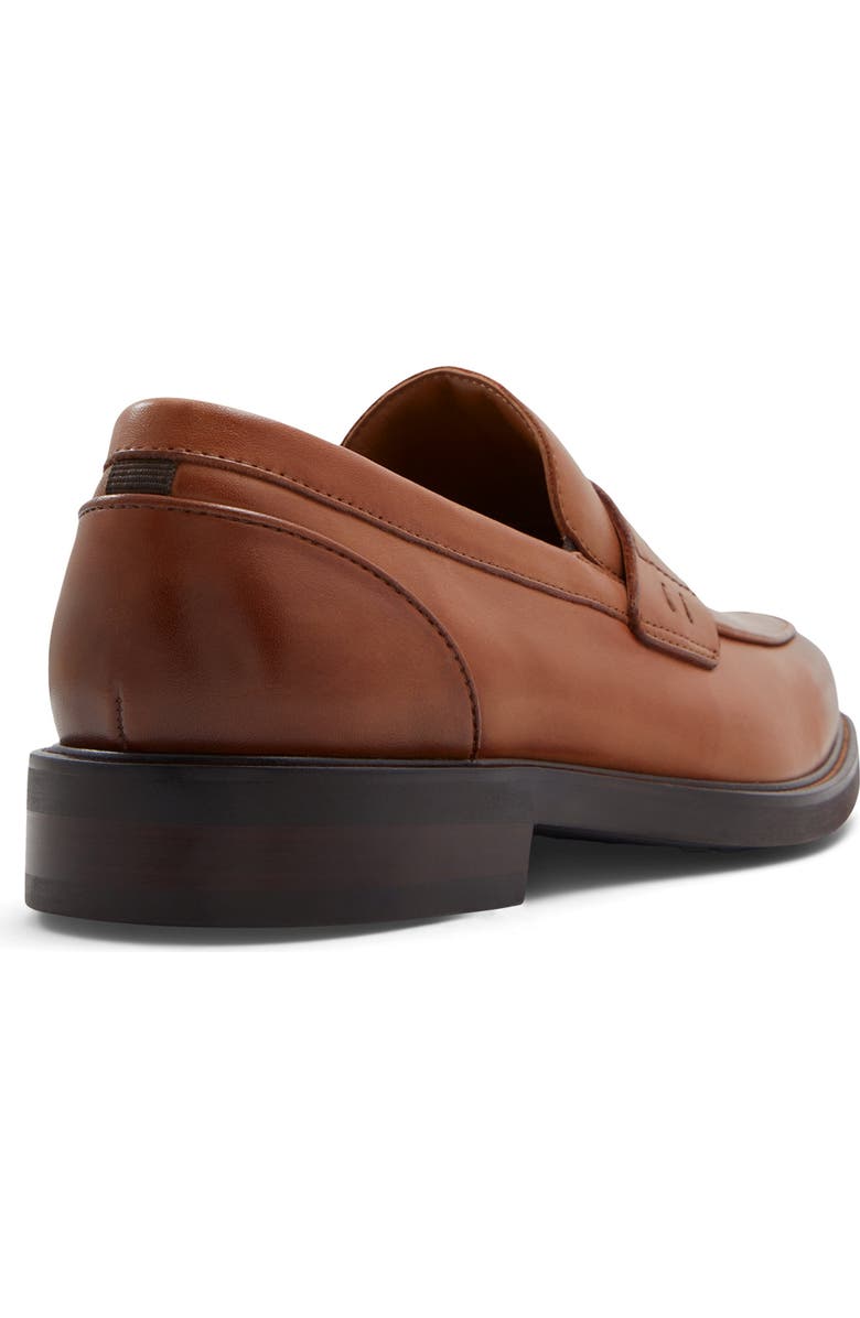 ALDO Sullivan Penny Loafer, Alternate, color,