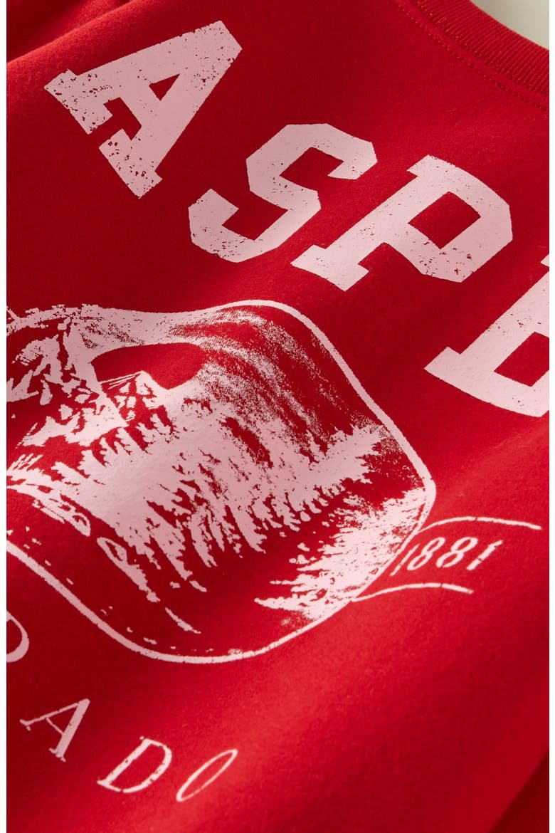 Off Shoulder Graphic Sweatshirt, Alternate, color, RED BARBADOS ASPEN