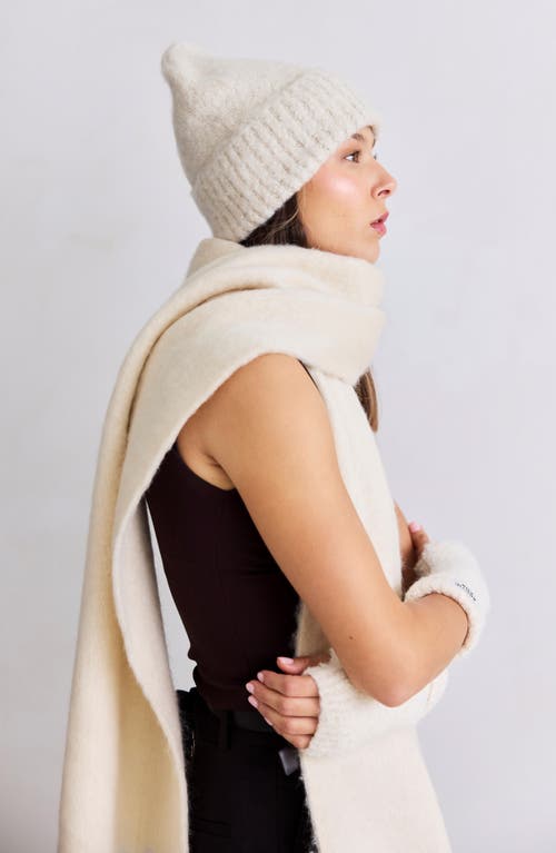 Arctic Fox & Co. Arctic Fox & Co The Reykjavik Beanie In Brown