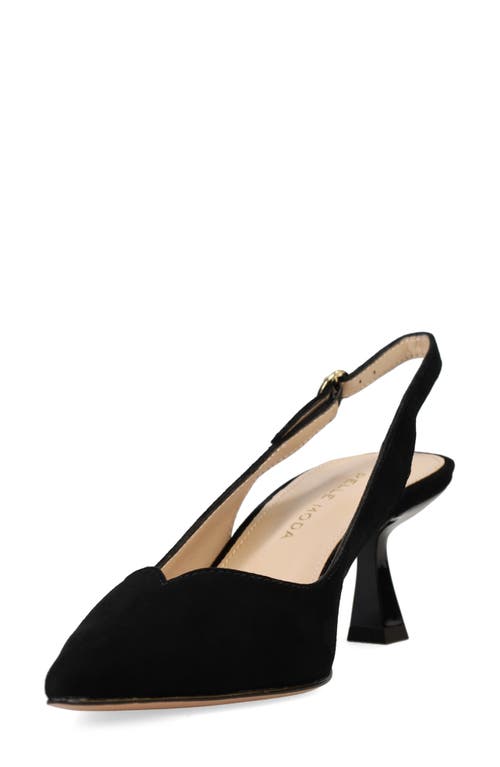 Pelle Moda Janah Slingback Pointed Toe Pump In Black Suede