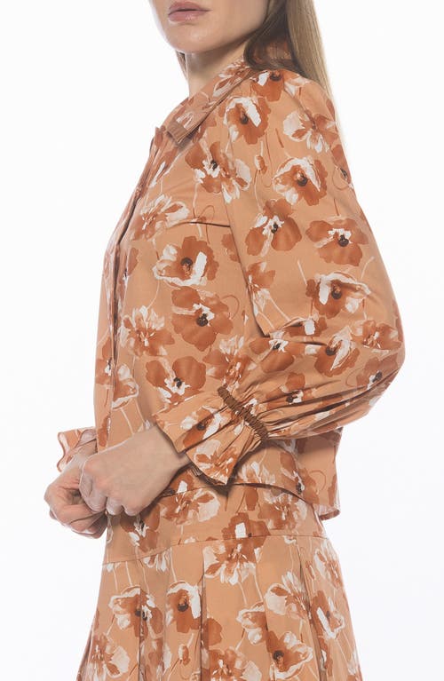 Alexia Admor Shannan Tipped Collar Button-up Shirt In Brown