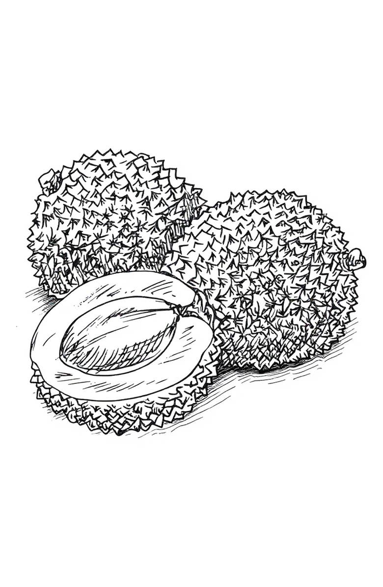 AMOUAGE Essences Sequence Eau de Parfum, Alternate, color,