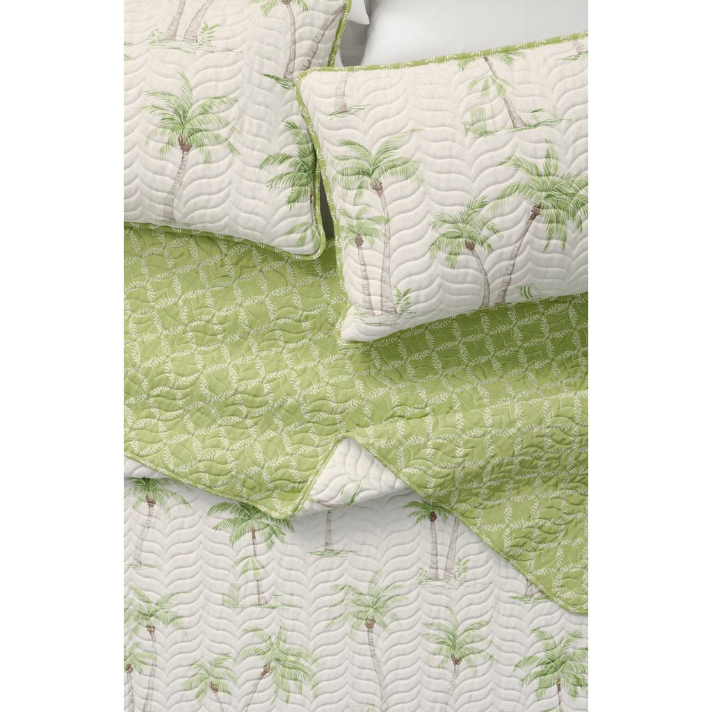 Woven & Weft Coastal Print Quilt & Shams Set In West Palm Trees